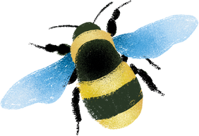 Watercolor Bee Illustration 